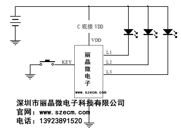 ECH310